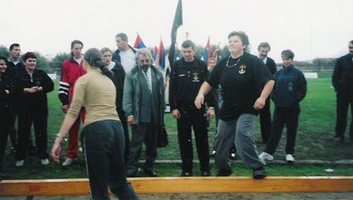 Соколице - бој на брвну