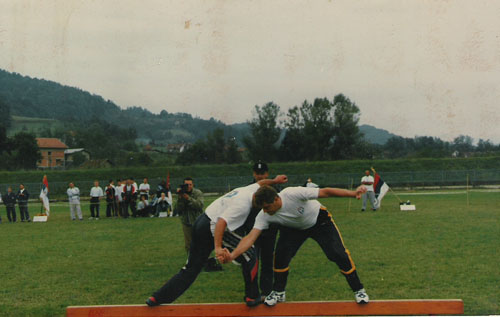 Соколски бој на брвну